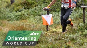 Suunnistuksen maailmancup