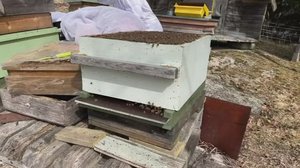 Yle Uutiset Pirkanmaa