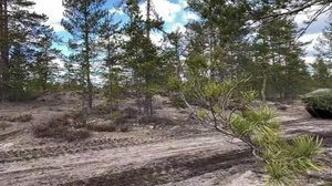 Yle Uutiset Lounais-Suomi