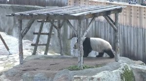 Yle Uutiset Pohjanmaa