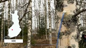 Yle Uutiset Uutis-Suomi