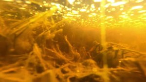 Yle Uutiset Pohjanmaa