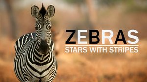 Avara luonto: Sambian seeprat