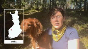 Yle Uutiset Uutis-Suomi