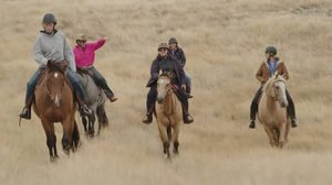 Ratsastuksen maailma