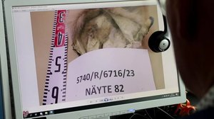 Yle Uutiset Itä-Suomi