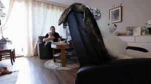 Yle Uutiset Keski-Suomi ja Etelä-Savo