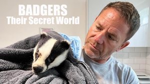 Mäyrien salainen maailma