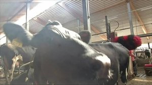 Yle Uutiset Pohjois-Suomi