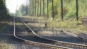 Yle Uutiset Pohjanmaa