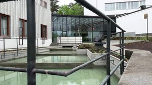 Yle Uutiset Keski-Suomi ja Etelä-Savo