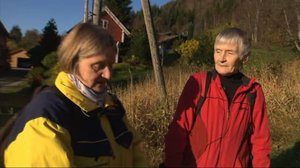 Norjaa ristiin rastiin