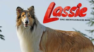 Lassie palaa kotiin