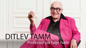 Professori korkkareissa