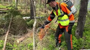 Yle Uutiset Pirkanmaa
