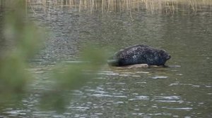 Yle Uutiset Keski-Suomi ja Etelä-Savo