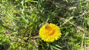 Yle Uutiset Pohjois-Suomi