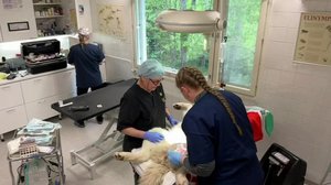 Yle Uutiset Keski-Suomi ja Etelä-Savo