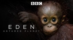 Avara luonto: Kesyttämätön planeetta