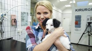 Elämäni eläimet: Eläinsairaalassa