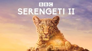 Avara luonto: Serengeti