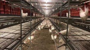 Yle Uutiset Keski-Suomi ja Etelä-Savo