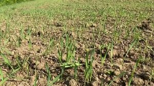 Yle Uutiset Pohjanmaa