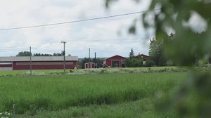 Yle Uutiset Pohjois-Suomi