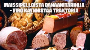 Maissipelloista banaanitarhoja - Viro käynnistää traktoria