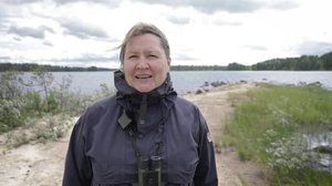 Yle Uutiset Itä-Suomi