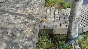 Yle Uutiset Pohjanmaa