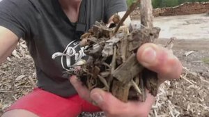 Yle Uutiset Pohjois-Suomi