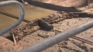 Yle Uutiset Itä-Suomi