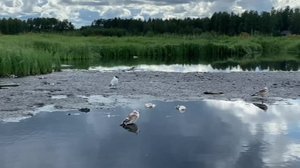 Yle Uutiset Pohjanmaa