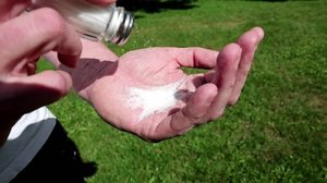 Yle Uutiset Kaakkois-Suomi