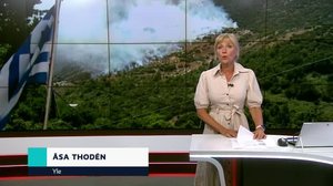 Yle Nyheter TV-nytt 17.55