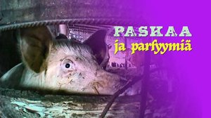 Paskaa ja parfyymia
