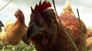 Yle Uutiset Keski-Suomi ja Etelä-Savo