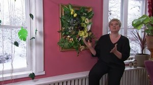 Strömsöstä poimittua