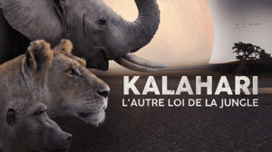 Avara luonto: Kalaharin klaanit