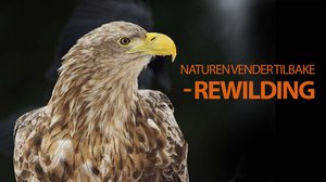 Luontokappaleet palaavat kotiin