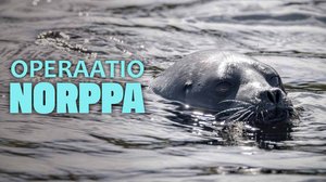 Operaatio Norppa