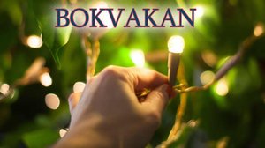 Bokvakan live - chatta med oss om årets bästa böcker