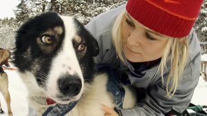 Tulikokeena koiravaljakkokisa