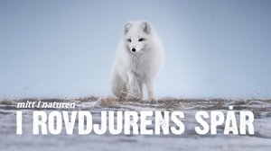 Villieläinten jäljillä