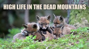 Avara luonto: Alppien ylämailla