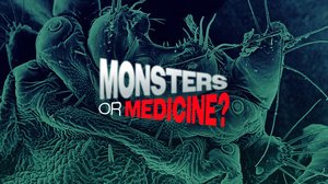 Loinen - ystävä vai vihollinen?