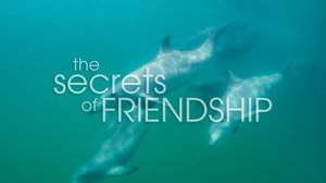 Ystävyyden anatomia