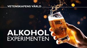 Alkoholikokeilu