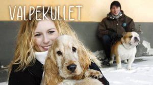 Spanielipentueen elämää